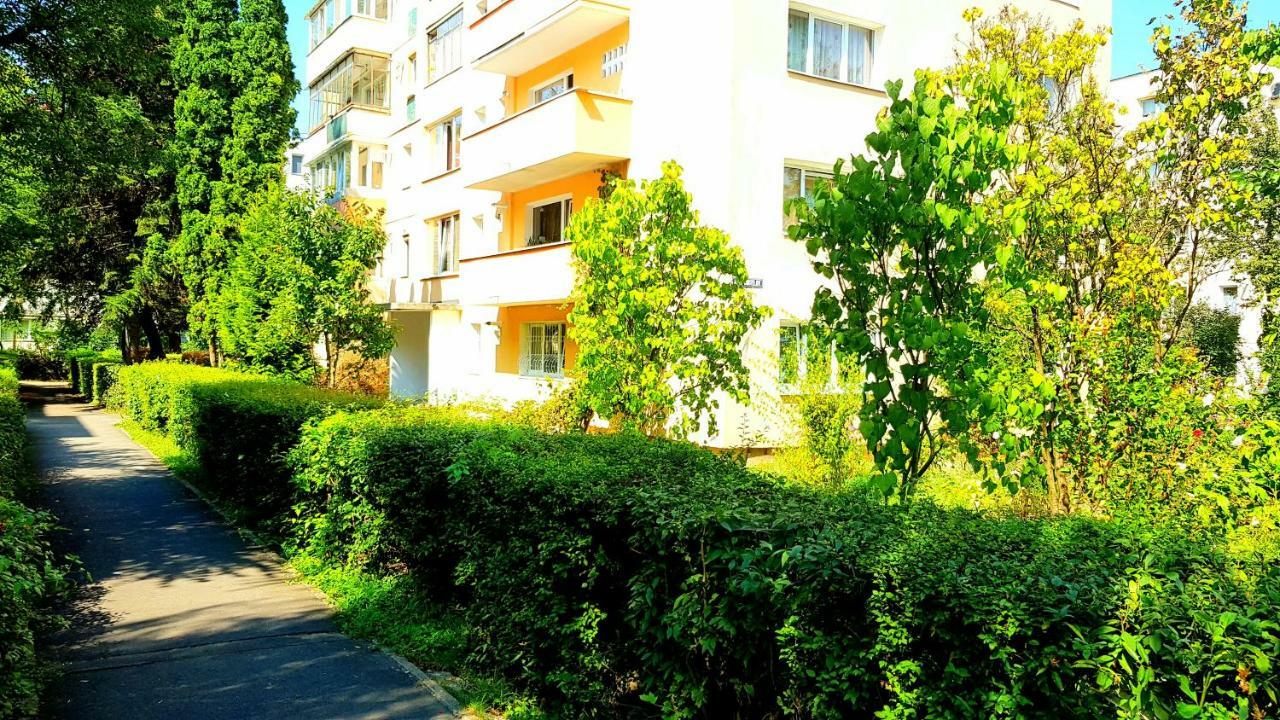Luxury Paul Apartment Green, Private & Accessible براشوف المظهر الخارجي الصورة